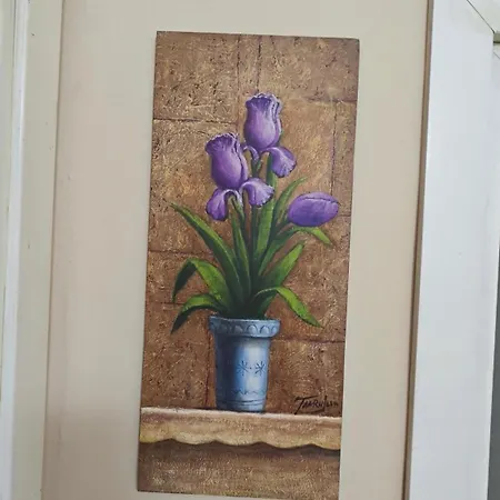 Appartement Redi's